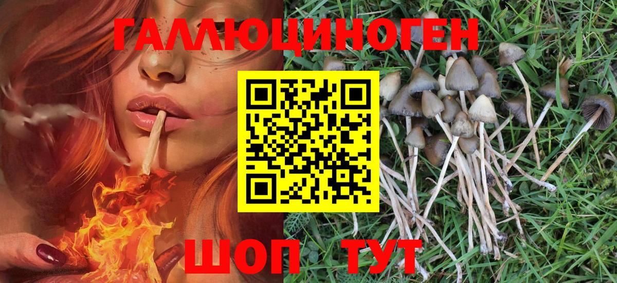 Тара  цены   Псилоцибиновые грибы Psilocybe  Вход с VPN  Галлюциногенные грибы Psilocybine cubensis 